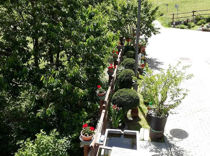 La-haut * サン・レミ・アン・ボス